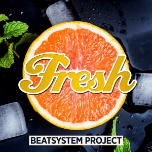 Обложка трека "Fresh (rmx) - BEATSYSTEM PROJECT"