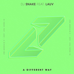 Обложка трека "A Different Way - DJ SNAKE"