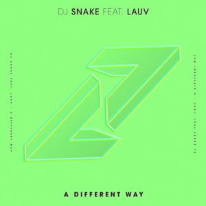 Обложка трека "A Different Way - DJ SNAKE"