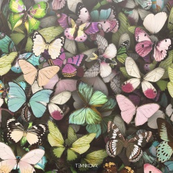 Обложка трека "Бабочки - Елена ТЕМНИКОВА"