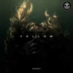 Обложка трека "Follow - MERDY"