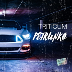 Обложка трека "Petrunko - TRITICUM"