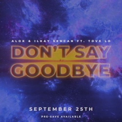 Обложка трека "Don’t Say Goodbye - ALOK"