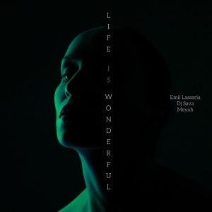 Обложка трека "Life Is Wonderful - Emil LASSARIA"